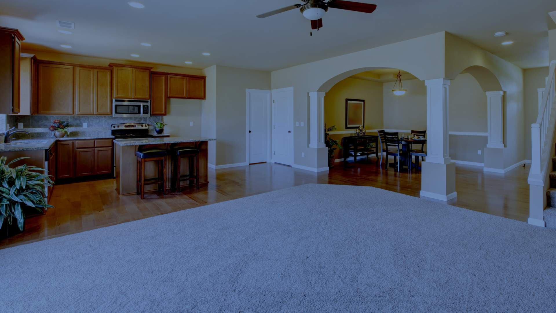 Chattanooga Carpet Cleaning